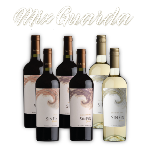 placas mix actualizadas-03