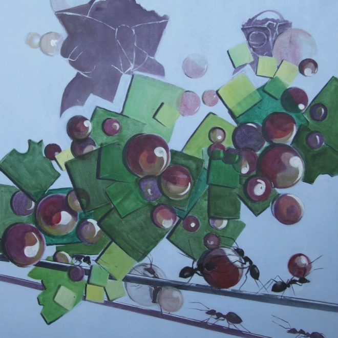 OBRA 13
